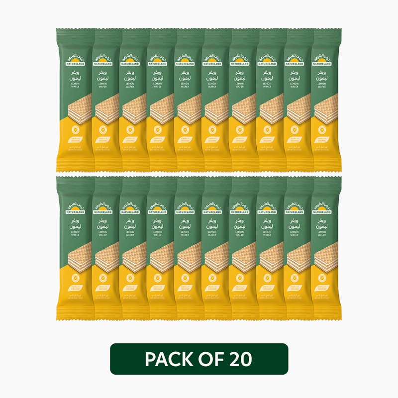 تاريخ الانتهاء فى ٢٠-١٢-٢٠٢٥ (30g x 20)